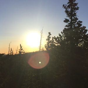 Meet your Posher, Alena